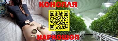 тгк Славянск-на-Кубани