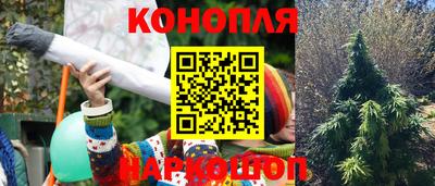тгк Славянск-на-Кубани