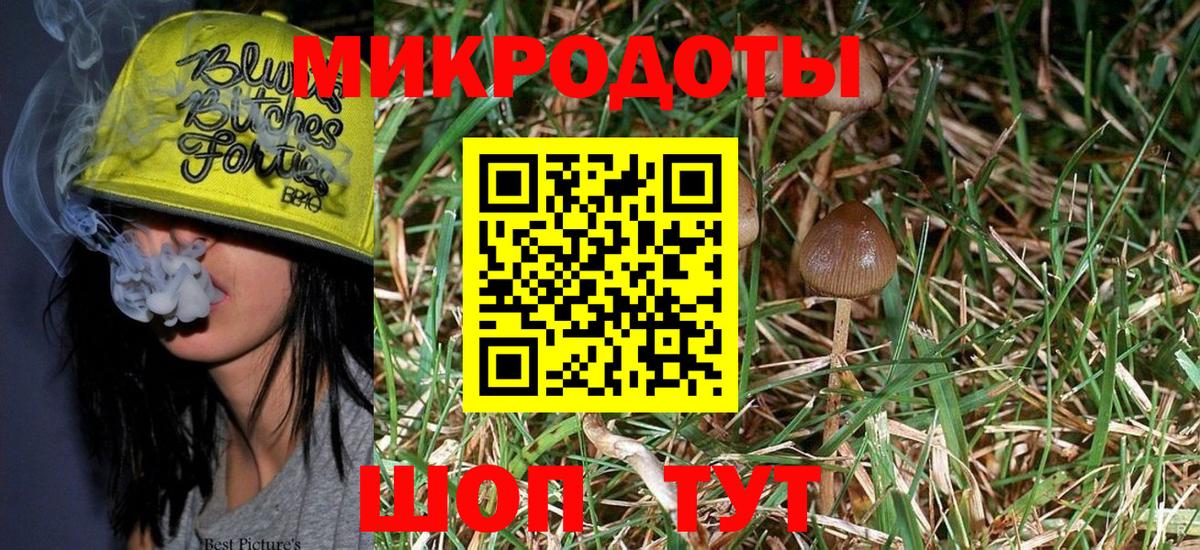 Псилоцибиновые грибы ЛСД Борзя