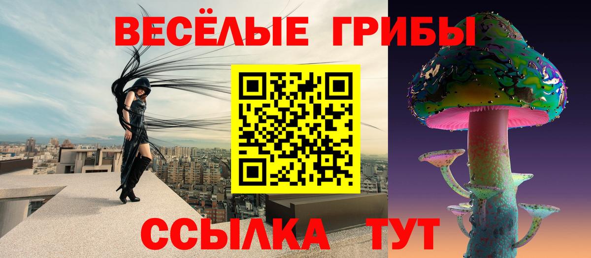 цена наркотик  Вход с VPN  Псилоцибиновые грибы Cubensis  Борзя  Псилоцибиновые грибы прущие грибы 